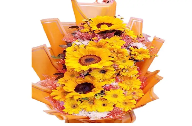 Fresh sunflower bouquet yellow flower gift for birthday and special occasions
